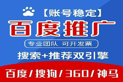 百度推广成功案例分析
